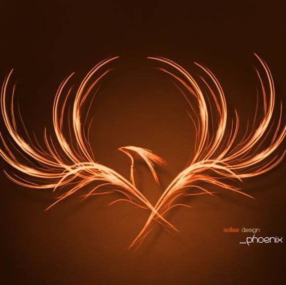 Meet your Posher, Debbie - Picture 1 of 1